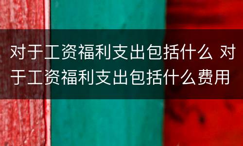 对于工资福利支出包括什么 对于工资福利支出包括什么费用