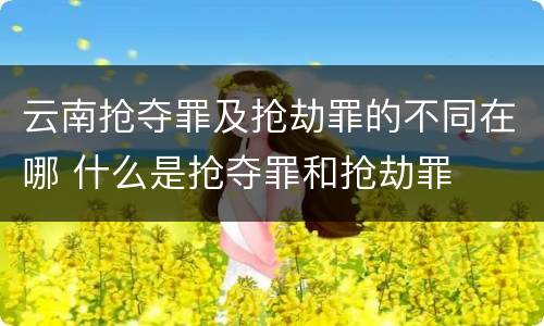 云南抢夺罪及抢劫罪的不同在哪 什么是抢夺罪和抢劫罪