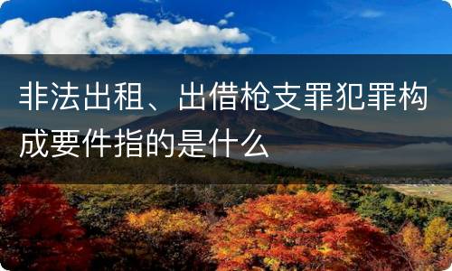 非法出租、出借枪支罪犯罪构成要件指的是什么