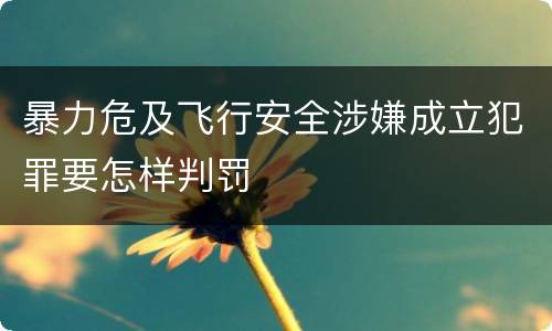 暴力危及飞行安全涉嫌成立犯罪要怎样判罚