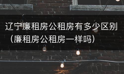 辽宁廉租房公租房有多少区别（廉租房公租房一样吗）