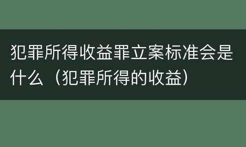 犯罪所得收益罪立案标准会是什么（犯罪所得的收益）