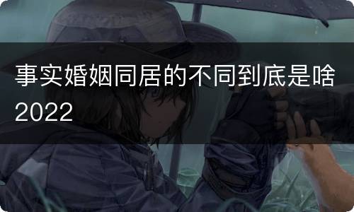 事实婚姻同居的不同到底是啥2022