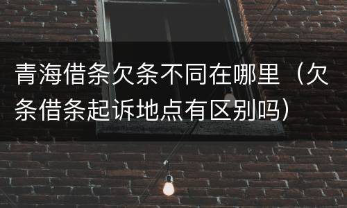 青海借条欠条不同在哪里（欠条借条起诉地点有区别吗）
