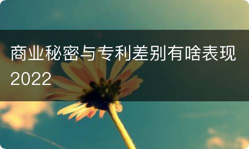 商业秘密与专利差别有啥表现2022