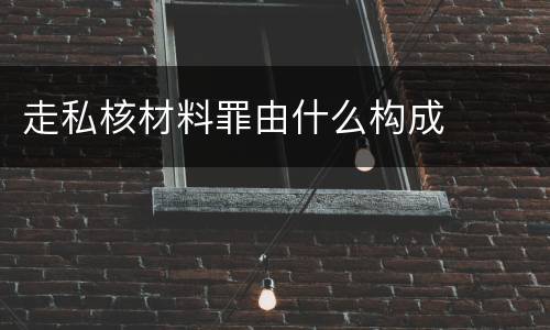 走私核材料罪由什么构成