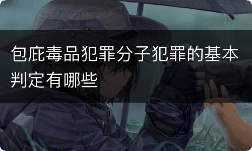 包庇毒品犯罪分子犯罪的基本判定有哪些