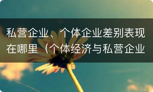 私营企业、个体企业差别表现在哪里（个体经济与私营企业的区别）