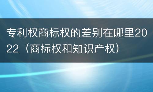 专利权商标权的差别在哪里2022（商标权和知识产权）