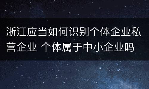 浙江应当如何识别个体企业私营企业 个体属于中小企业吗