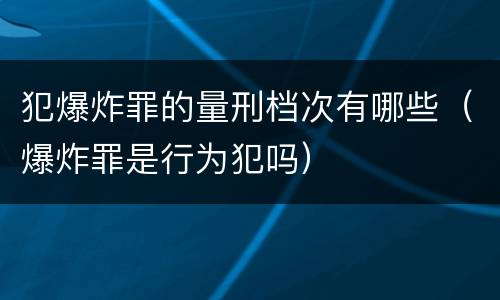 犯爆炸罪的量刑档次有哪些（爆炸罪是行为犯吗）