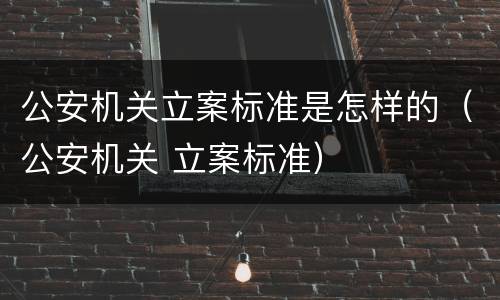 公安机关立案标准是怎样的（公安机关 立案标准）