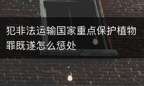 犯非法运输国家重点保护植物罪既遂怎么惩处