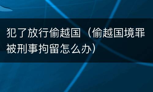 犯了放行偷越国（偷越国境罪被刑事拘留怎么办）