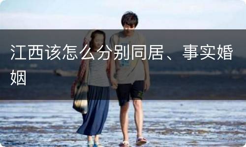 江西该怎么分别同居、事实婚姻