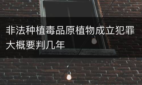 非法种植毒品原植物成立犯罪大概要判几年