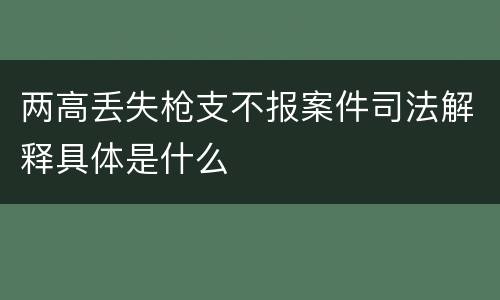 两高丢失枪支不报案件司法解释具体是什么