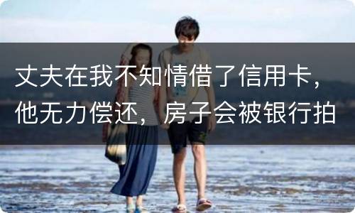 丈夫在我不知情借了信用卡，他无力偿还，房子会被银行拍卖吗
