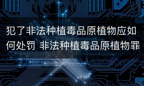 犯了非法种植毒品原植物应如何处罚 非法种植毒品原植物罪是什么犯罪类型