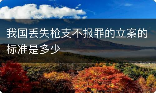 我国丢失枪支不报罪的立案的标准是多少
