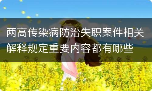 两高传染病防治失职案件相关解释规定重要内容都有哪些