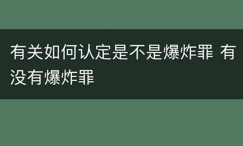 有关如何认定是不是爆炸罪 有没有爆炸罪