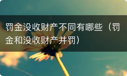 罚金没收财产不同有哪些（罚金和没收财产并罚）