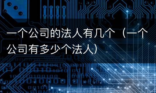 一个公司的法人有几个（一个公司有多少个法人）