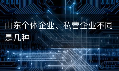 山东个体企业、私营企业不同是几种