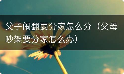 父子闹翻要分家怎么分（父母吵架要分家怎么办）