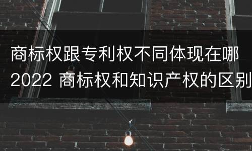 商标权跟专利权不同体现在哪2022 商标权和知识产权的区别