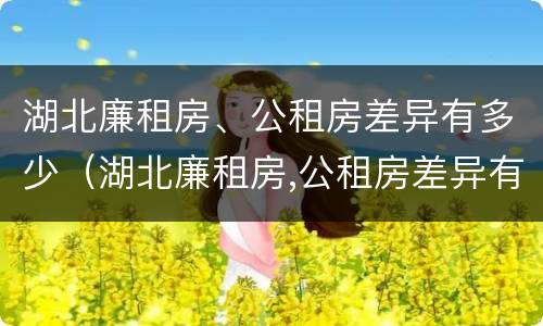 湖北廉租房、公租房差异有多少（湖北廉租房,公租房差异有多少年）