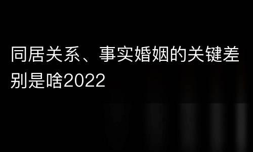 同居关系、事实婚姻的关键差别是啥2022