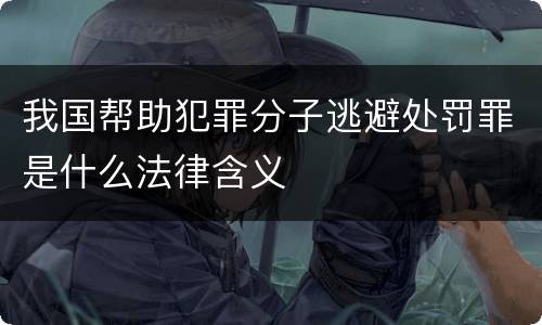 我国帮助犯罪分子逃避处罚罪是什么法律含义