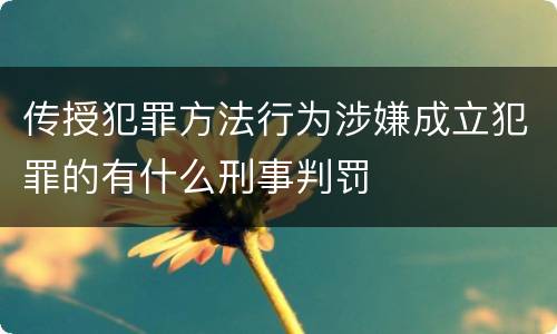 传授犯罪方法行为涉嫌成立犯罪的有什么刑事判罚