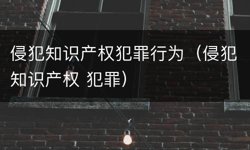 侵犯知识产权犯罪行为（侵犯知识产权 犯罪）