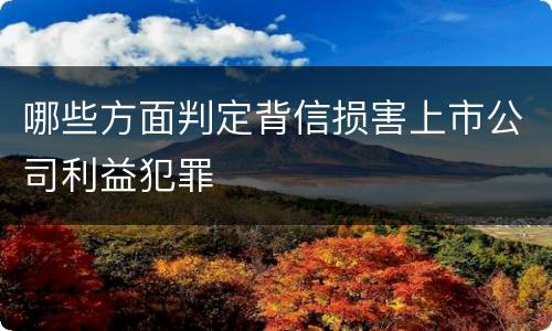 哪些方面判定背信损害上市公司利益犯罪