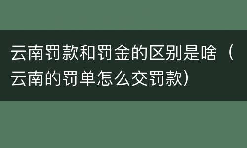 云南罚款和罚金的区别是啥（云南的罚单怎么交罚款）