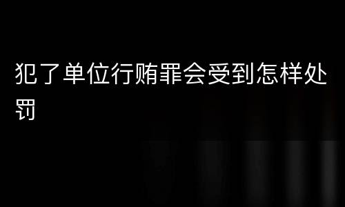 犯了单位行贿罪会受到怎样处罚