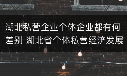 湖北私营企业个体企业都有何差别 湖北省个体私营经济发展中心