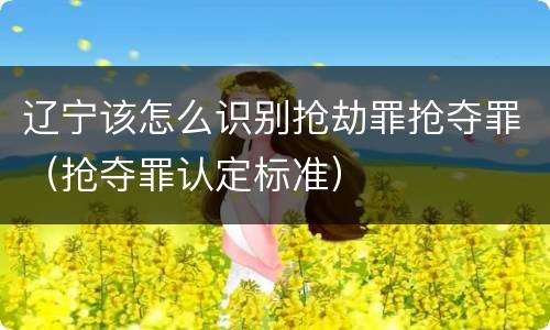 辽宁该怎么识别抢劫罪抢夺罪（抢夺罪认定标准）