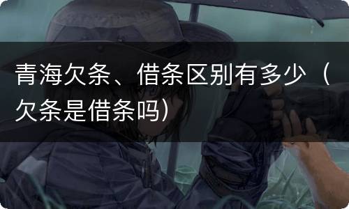 青海欠条、借条区别有多少（欠条是借条吗）