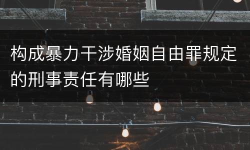 构成暴力干涉婚姻自由罪规定的刑事责任有哪些