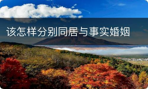 该怎样分别同居与事实婚姻