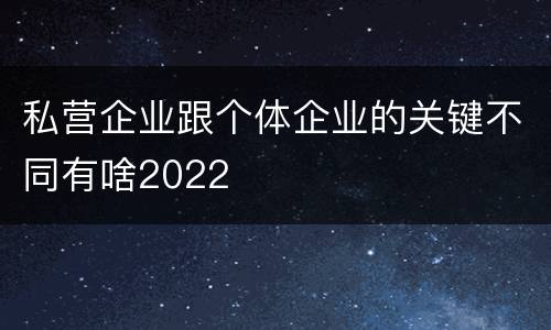 私营企业跟个体企业的关键不同有啥2022