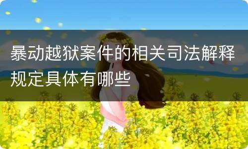 暴动越狱案件的相关司法解释规定具体有哪些