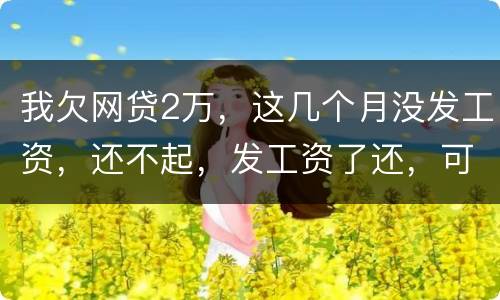 我欠网贷2万，这几个月没发工资，还不起，发工资了还，可以吗