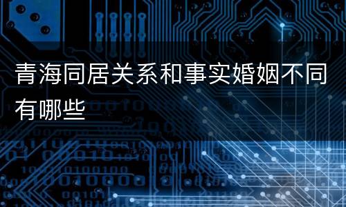 青海同居关系和事实婚姻不同有哪些