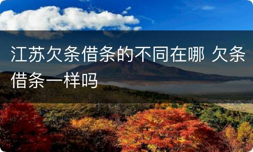 江苏欠条借条的不同在哪 欠条借条一样吗