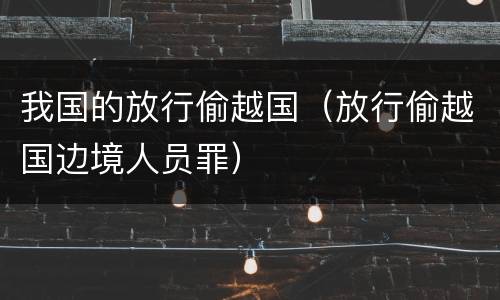 我国的放行偷越国（放行偷越国边境人员罪）